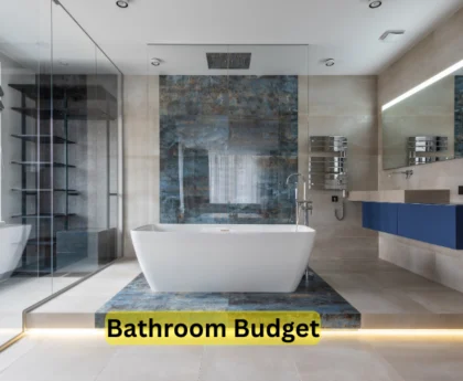 bathroom budget in india