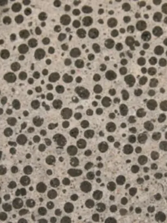 5 REASONS WHY BIO CONCRETE IS THE FUTURE