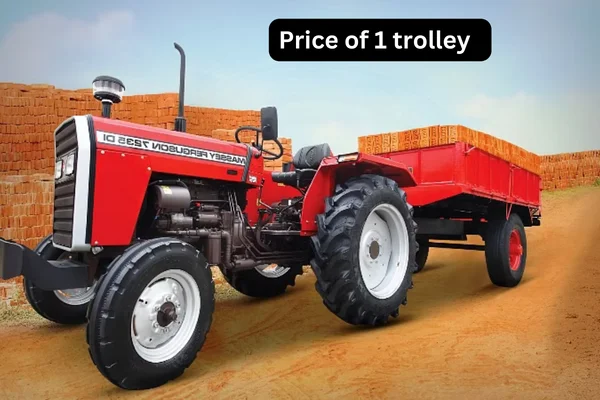 1 trolley brick price in Hyderabad